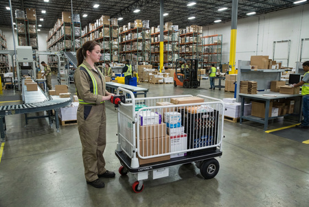 Wózek platformowy elektryczny transportowy magazynowy 400 kg